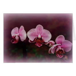 "Stipendium auf dem Weg"