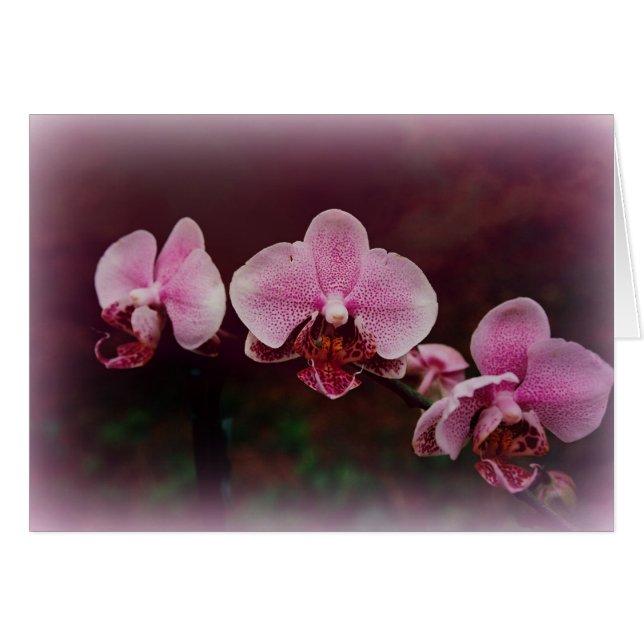 "Stipendium auf dem Weg" (Vorderseite (Horizontal))