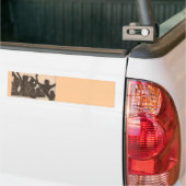 Stipendium Autoaufkleber (Auf Lkw)
