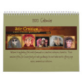 Stir 2013 Crazies Kalender (Titelbild)