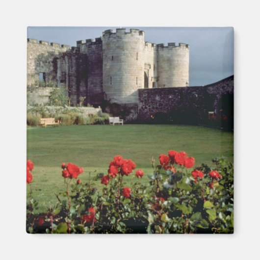 Stirling Castle, schottische Blume Magnet (Vorne)
