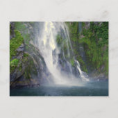 Stirling Falls, Milford Sound, NZ Postcard Postkarte (Vorderseite)
