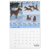 Stirling Irish Terriers 2021 Kalender (Jan 2027)