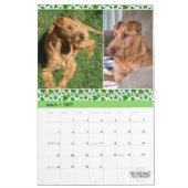 Stirling Irish Terriers 2021 Kalender (Mär 2027)