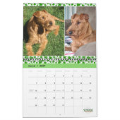 Stirling Irish Terriers 2022 Calendar Kalender (Mär 2027)