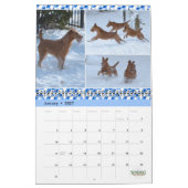 Stirling Irish Terriers 2022 Calendar Kalender (Jan 2027)