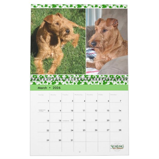 Stirling Irish Terriers 2022 Calendar Kalender (Mär 2026)