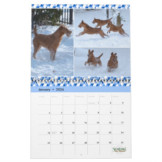 Stirling Irish Terriers 2022 Calendar Kalender (Jan 2026)