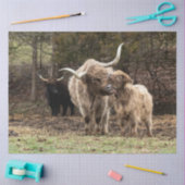 Stirling Skye Seidenpapier (Basteln)