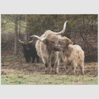 Stirling Skye Seidenpapier