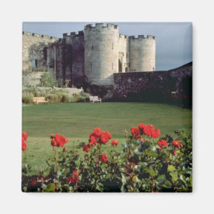Stirlings-Schloss, Schottland-Blumen Magnet