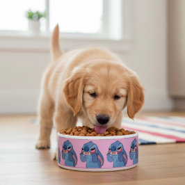 Stitch Bowl Napf