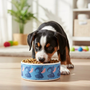 Stitch Bowl Napf