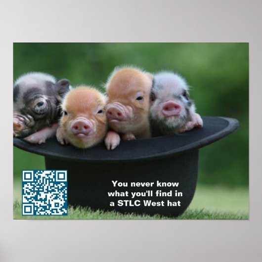 STLC West Hat Poster (Vorne)