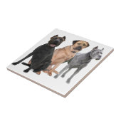 Stock Corso drei Fliese (Seite)