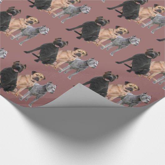 Stock Corso drei Geschenkpapier (Ecke)