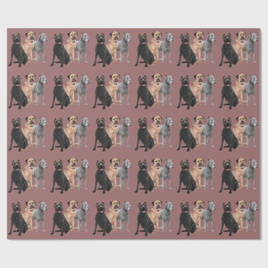 Stock Corso drei Geschenkpapier (Flach)