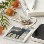 Stock corso full.png schlüsselanhänger (Vorderseite rechts)