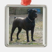 Stock corso full.png silbernes ornament (Vorne)