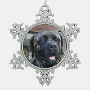 Stock corso graues brindle schneeflocken Zinn-Ornament