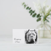 Stock Corso Hund Visitenkarte (Stehend Vorderseite)