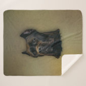 Stock Corso - italienischer Mastiff Sherpadecke (Vorderseite (Horizontal))