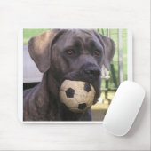 Stock corso.png mousepad (Mit Mouse)
