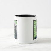 Stock corso Tasse (Zentrum)