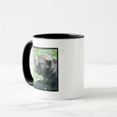 Stock corso Tasse (Vorderseite Links)