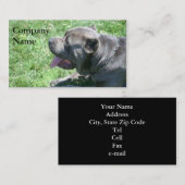 Stock Corso Visitenkarten Visitenkarte (Vorne/Hinten)