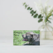 Stock Corso Visitenkarten Visitenkarte (Stehend Vorderseite)