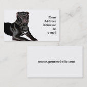 Stock corso Welpen-Visitenkarte Visitenkarte (Vorne/Hinten)