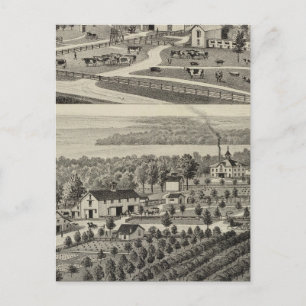 Stock Farm, Reading, Kansas Postkarte