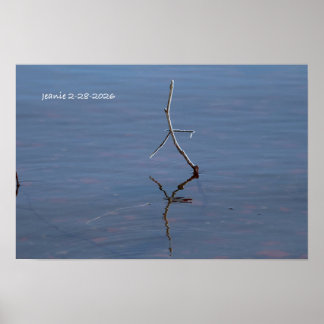 Stock im Wasser Poster