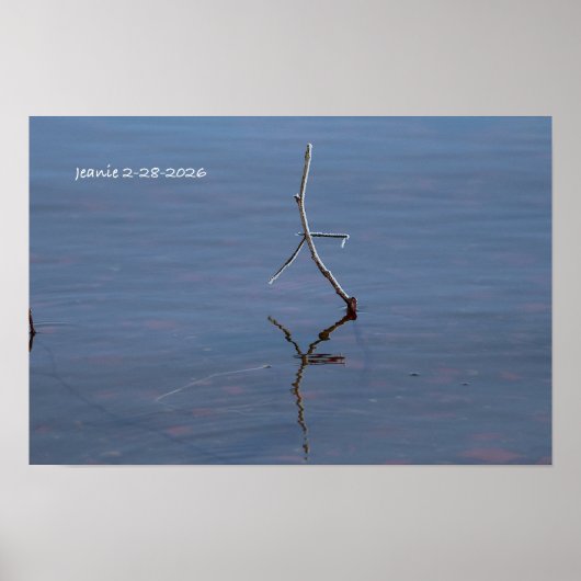 Stock im Wasser Poster (Vorne)