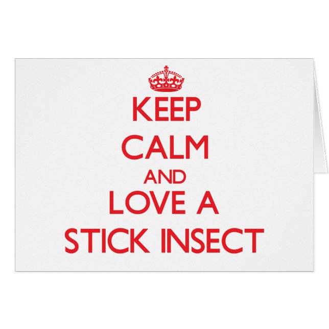 Stock-Insekt (Vorderseite (Horizontal))