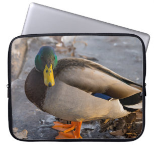 Stockente auf Eis Laptopschutzhülle