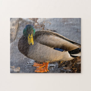 Stockente auf Eis Puzzle