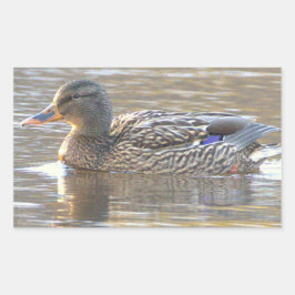 Stockente-Aufkleber Rechteckiger Aufkleber