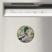 Stockente B12 Magnet (In Situ (Geschirrspüler))