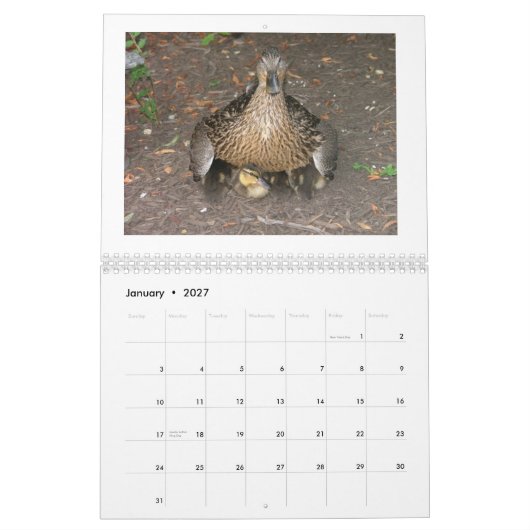 Stockente Duckings Kalender (Jan 2027)