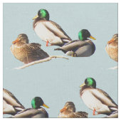 Stockente duckt Gewebe Stoff (Nahaufnahme)