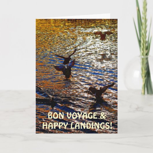 STOCKENTE DUCKT Landungs-Reisend-Foto-Gruß-Karte Karte (Vorderseite)