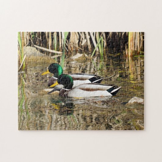 Stockente duckt Puzzlespiel Puzzle (Horizontal)