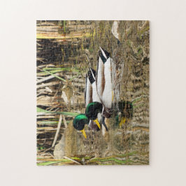 Stockente duckt Puzzlespiel Puzzle