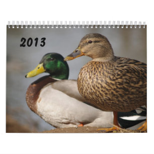 Stockente duckt Sportler-Kalender 2014 Kalender