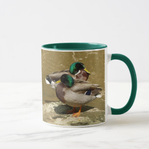 Stockente duckt Tasse