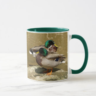 Stockente duckt Tasse