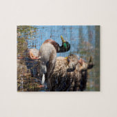 Stockente duckt Tier-Foto Puzzle (Horizontal)