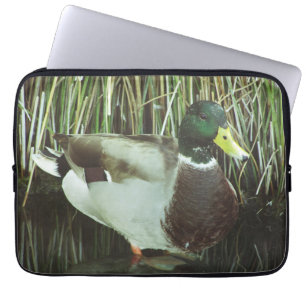 Stockente-Foto Auffällige männliche Seevögel Laptopschutzhülle